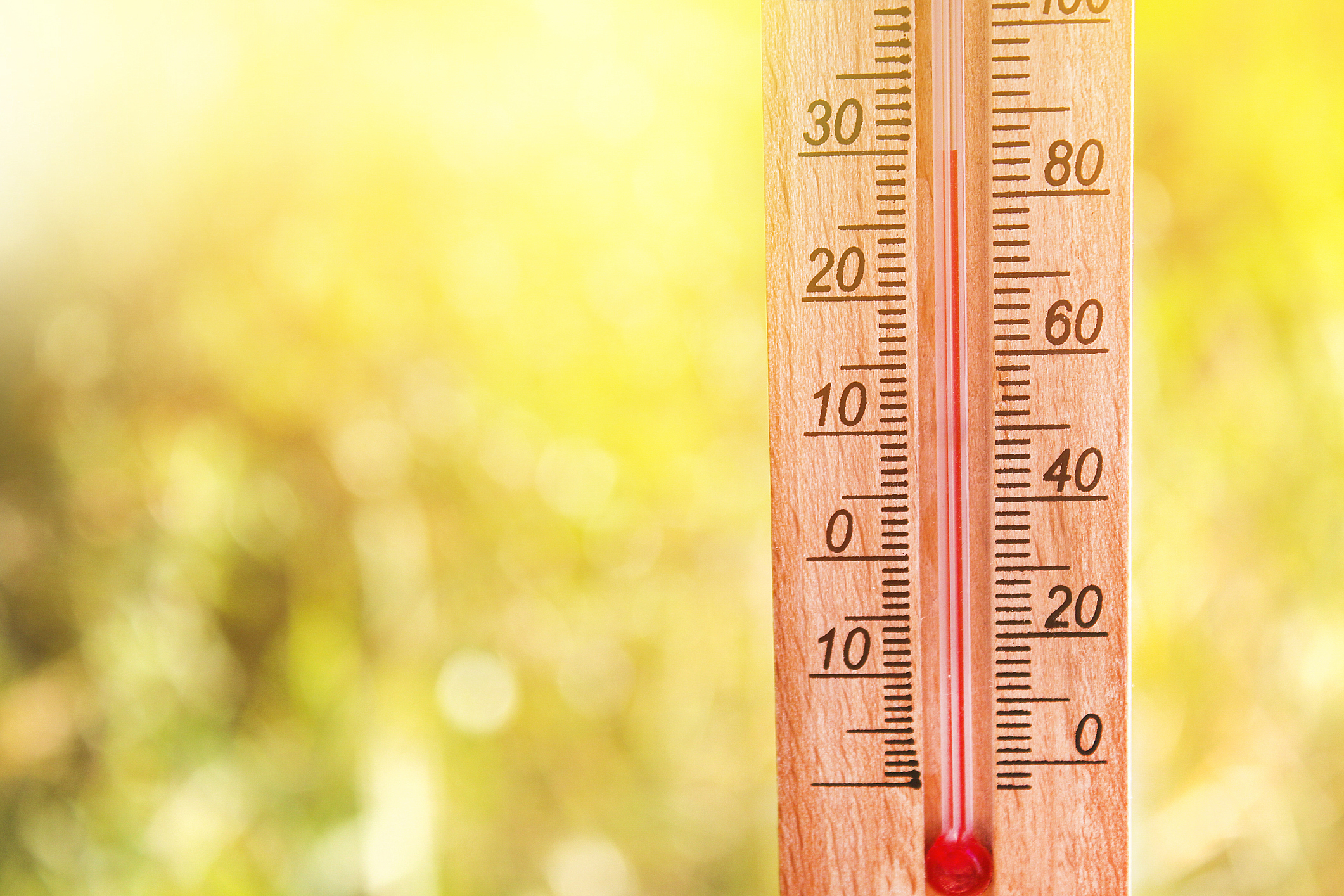 Fortes chaleurs et risque de canicule