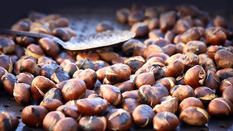 Foire aux marrons
